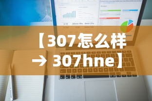 【307怎么样 → 307hne】