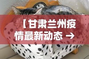 【甘肃兰州疫情最新动态 → 甘肃疫情最新数据消息兰州】