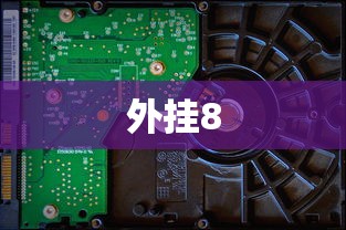 外挂8