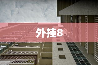 外挂8