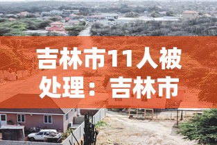 吉林市11人被处理：吉林市近期案件