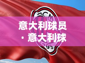 意大利球员 · 意大利球员巴乔简介