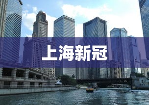 上海新冠
