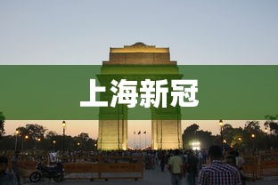 上海新冠 上海新冠