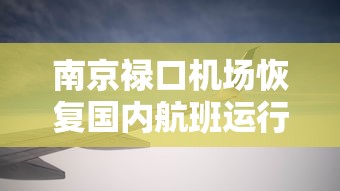 南京禄口机场恢复国内航班运行