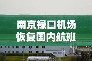 南京禄口机场恢复国内航班运行 南京禄口机场恢复国内航班运行