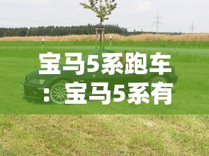 宝马5系跑车:宝马5系有跑车吗 宝马5系跑车:宝马5系有跑车吗