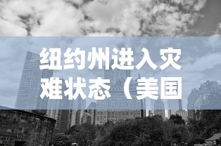 纽约州进入灾难状态(美国纽约州宣布进入灾难紧急状态) 纽约州进入灾难状态(美国纽约州宣布进入灾难紧急状态)