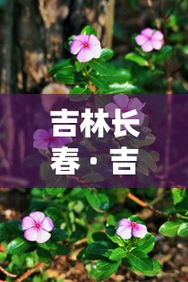 吉林长春 · 吉林长春地图