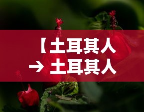 【土耳其人 → 土耳其人长相图片】