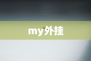 my外挂