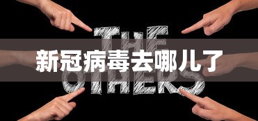 新冠病毒去哪儿了 新冠病毒去哪儿了