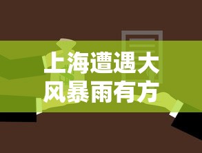 上海遭遇大风暴雨有方舱严重漏雨