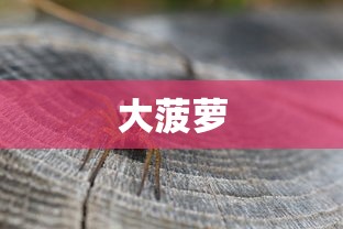 大菠萝