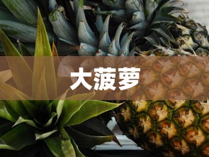大菠萝 大菠萝
