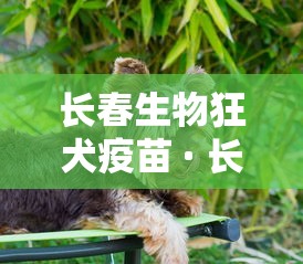 长春生物狂犬疫苗 · 长春生物狂犬疫苗打几针