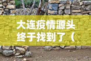 大连疫情源头终于找到了（大连 疫情源头）