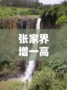 张家界增一高风险区 张家界增一高风险区
