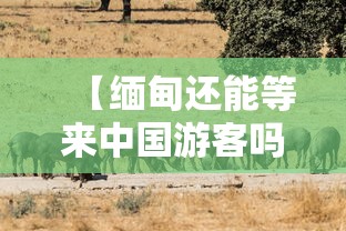 【缅甸还能等来中国游客吗 → 缅甸还能回到中国吗】 【缅甸还能等来中国游客吗 → 缅甸还能回到中国吗】