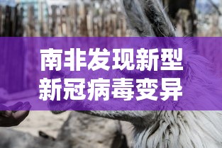 南非发现新型新冠病毒变异株：南非发现的变异新冠病毒