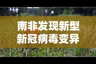 南非发现新型新冠病毒变异株:南非发现的变异新冠病毒 南非发现新型新冠病毒变异株:南非发现的变异新冠病毒