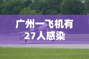 广州一飞机有27人感染