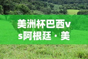 美洲杯巴西vs阿根廷 · 美洲杯巴西VS阿根廷