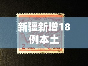新疆新增18例本土