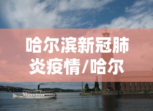 哈尔滨新冠肺炎疫情/哈尔滨新冠肺炎情况