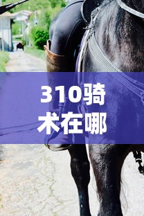 310骑术在哪学:wlk310骑术 310骑术在哪学:wlk310骑术