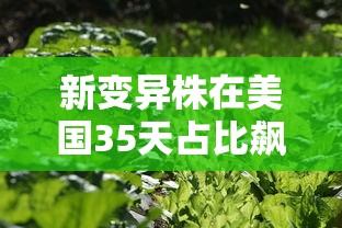 新变异株在美国35天占比飙升21倍/美国新变异病毒 新变异株在美国35天占比飙升21倍/美国新变异病毒