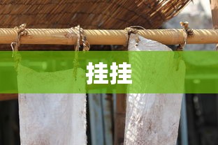 挂挂