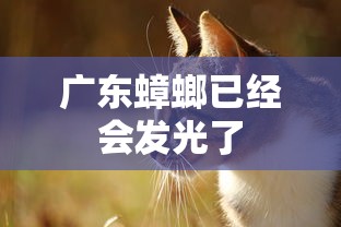 广东蟑螂已经会发光了