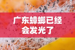 广东蟑螂已经会发光了