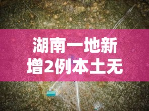 湖南一地新增2例本土无症状轨迹公布：湖南新增5例本土