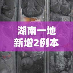 湖南一地新增2例本土无症状轨迹公布:湖南新增5例本土 湖南一地新增2例本土无症状轨迹公布:湖南新增5例本土
