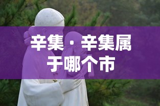 辛集 · 辛集属于哪个市