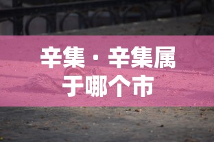 辛集 · 辛集属于哪个市