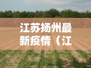 江苏扬州最新疫情（江苏扬州疫情最新报道）