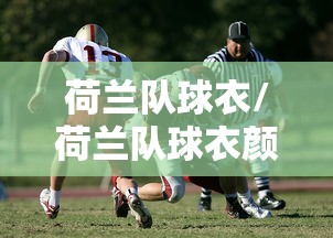 荷兰队球衣/荷兰队球衣颜色