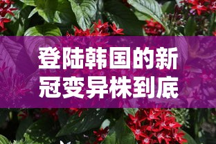 登陆韩国的新冠变异株到底有多强 · 韩国新冠肺炎变异 登陆韩国的新冠变异株到底有多强 · 韩国新冠肺炎变异