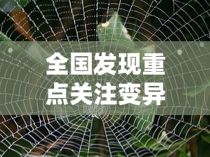 全国发现重点关注变异株13例：中国确诊变异病毒