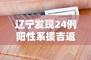 辽宁发现24例阳性系援吉返辽人员