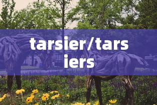 tarsier/tarsiers