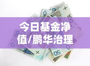 今日基金净值/鹏华治理160611今日基金净值