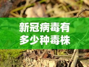 新冠病毒有多少种毒株：新冠病毒各种毒株