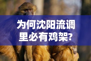 为何沈阳流调里必有鸡架?：沈阳疫情 流调
