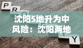 沈阳5地升为中风险：沈阳两地升级为中风险地区