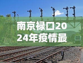 南京禄口2024年疫情最新消息：南京禄口疫情最新进展