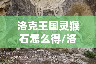 洛克王国灵猴石怎么得/洛克王国灵猴石这么难刷么